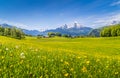 Idyllic landscape in the Alps with green meadows and flowers Royalty Free Stock Photo