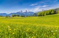 Idyllic landscape in the Alps with green meadows and flowers Royalty Free Stock Photo