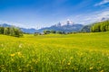 Idyllic landscape in the Alps with green meadows and flowers Royalty Free Stock Photo