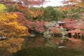 Idyllic landscape of japanese garden in autumn season, Kyoto, Japan Royalty Free Stock Photo