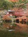 Idyllic landscape of beautiful japanese garden with colorful maple trees in Daigoji temple in autumn season, Kyoto, Japan Royalty Free Stock Photo