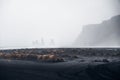 Idyllic landscape of a black sand beach, shrouded in a mysterious mist in Reykjavik, Iceland
