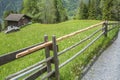 Idyllic landscape of farm in Wengen, Swiss Royalty Free Stock Photo