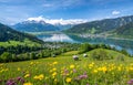 Idyllic landscape with a flower meadow, snowy mountains and a blue lake, Zell am See, Pinzgau, Salzburger Land, Austria, Europe Royalty Free Stock Photo