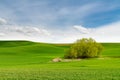 Idyllic landscape of hills covered in green grass under a blue sky Royalty Free Stock Photo