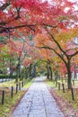 Idyllic landscape of Japan in autumn season Royalty Free Stock Photo