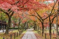 idyllic landscape of Kyoto, Japan in autumn season Royalty Free Stock Photo