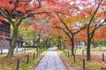 Idyllic landscape of Japan in autumn season Royalty Free Stock Photo