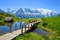 Idyllic landscape with Mont Blanc mountain range in sunny day. French Alps, France, Europe. Royalty Free Stock Photo