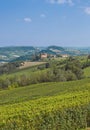 Idyllic Landscape near Asti in Piedmont