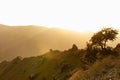 Idyllic landscape - silhouette of mountain orange ridge in bright golden yellow pastel sunset light, mist, alone tree in sunbeams Royalty Free Stock Photo