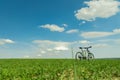 Idyllic landscape summer field scenic view with cycle sport transport life style concept photography in June bright day time vivid Royalty Free Stock Photo