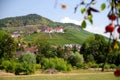 Idyllic landscape with vineyard and farming village in southern Germany