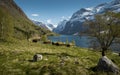 Idyllic landscape in Norway