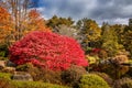 Idyllic liitle pond with colorful changing leaves in fall, New England Royalty Free Stock Photo