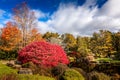 Idyllic liitle pond with colorful changing leaves in fall, New England Royalty Free Stock Photo