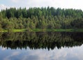 Idyllic Little Lake Blindensee With Reflections On The Calm Surface In The Forest Near Triberg Black Forest Germany