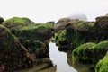 Idyllic Misty Tidal Pools, Cape Kiwanda Natural Area, Pacific City, Oregon, USA