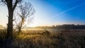 Idyllic morning landscape with a rising sun as background Royalty Free Stock Photo