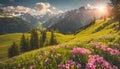 Idyllic mountain landscape in the Alps with blooming meadows in Royalty Free Stock Photo