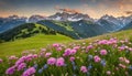 Idyllic mountain landscape in the Alps with blooming meadows in Royalty Free Stock Photo