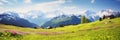 Idyllic mountain landscape in the Alps with blooming meadows in springtime Royalty Free Stock Photo