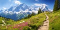 Idyllic mountain landscape in the Alps with blooming meadows in springtime Royalty Free Stock Photo