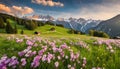Idyllic mountain landscape in Alps with blooming meadows in springtime Royalty Free Stock Photo