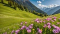 Idyllic mountain landscape in the Alps blooming meadows in springtime Royalty Free Stock Photo