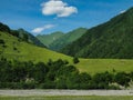 Idyllic mountain landscape. In the distance grazing herd of cows. Alpine meadow Royalty Free Stock Photo