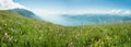 Idyllic mountain landscape monte baldo with beautiful pink knotgrass wildflower meadow and view to garda lake