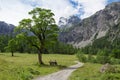 Idyllic mountain landscape in summer near Gramaialm, Austria,