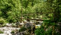 Idyllic mountain river in Lepena valley, Soca - Bovec Slovenia. Royalty Free Stock Photo