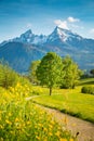 Idyllic mountain scenery in the Alps with blooming meadows in springtime Royalty Free Stock Photo