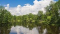 Idyllic natural beauty with lake and green trees in summer.