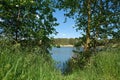 Idyllic nature at a former quarry pond near the village of Ploetzky in Germany Royalty Free Stock Photo