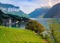 Idyllic nature of Swiss lakes - Walensee tranquil typical small village. Generative AI