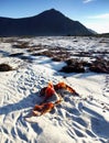 Scandinavia, Norway, Nordic Rugged Landscape, Lofoten Islands Royalty Free Stock Photo