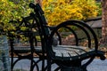 Idyllic outdoor scene featuring two wooden benches situated side by side in a park setting