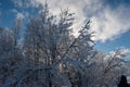 Idyllic panoramic cold winter view in the arctics with lot of snow and blue sky. Royalty Free Stock Photo