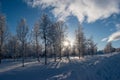 Idyllic panoramic cold winter view in the arctics with lot of snow and blue sky. Royalty Free Stock Photo