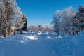 Idyllic panoramic cold winter view in the arctics with lot of snow and blue sky. Royalty Free Stock Photo