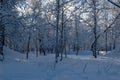 Idyllic panoramic cold winter view in the arctics with lot of snow and blue sky. Royalty Free Stock Photo