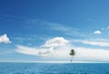 Idyllic paradise tropical island with palm on