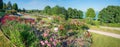 idyllic park landscape with roses, spa garden Gstadt, lake chiemsee, bavaria
