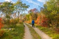 Idyllic path in autumn