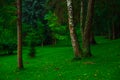 Idyllic peaceful and vibrant colored grass meadow on edge of forest, spring day