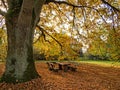 Idyllic Picnic Spot Under An Old Oak Tree In Autumn In Wendland, Germany