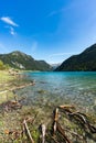 Idyllic and picturesque turquoise mountain lake surrounded by green forest and mountain peaks in the Swiss Alps