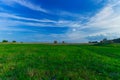Idyllic picturesque wallpaper concept landscape photography of harvest season rural field with vivid green grass and stack of hay